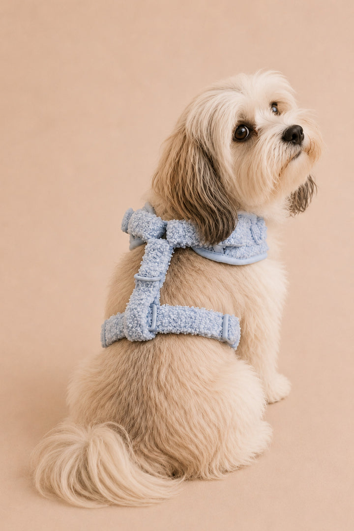 A small fluffy dog wearing a Lane & Leash light blue textured harness and matching bandana, sitting against a solid warm beige studio background.