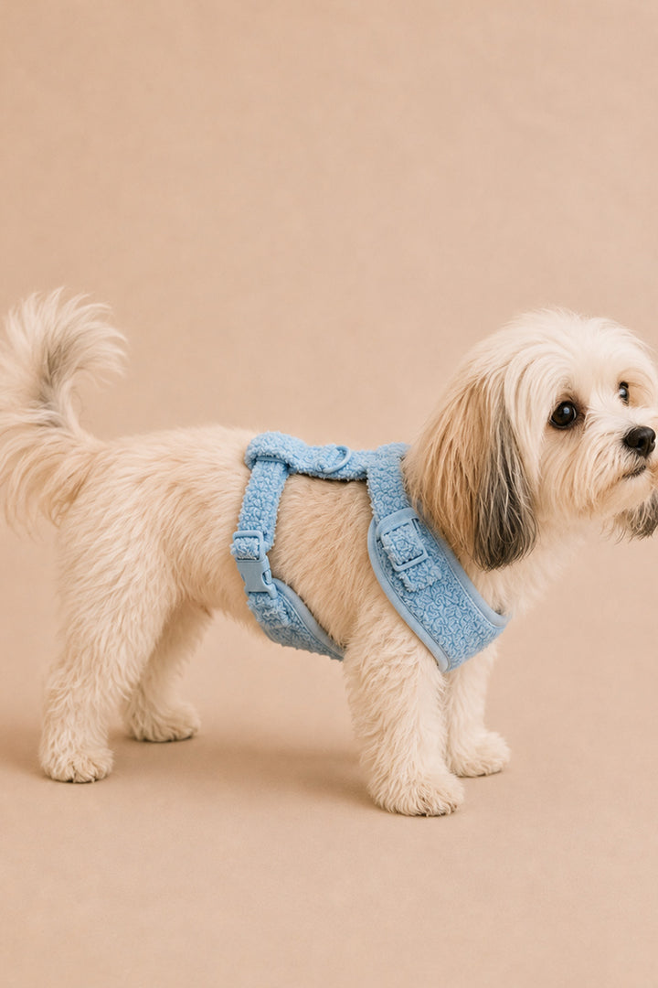 A small fluffy cream-colored dog wearing a Lane & Leash light blue textured harness, standing against a solid beige background.