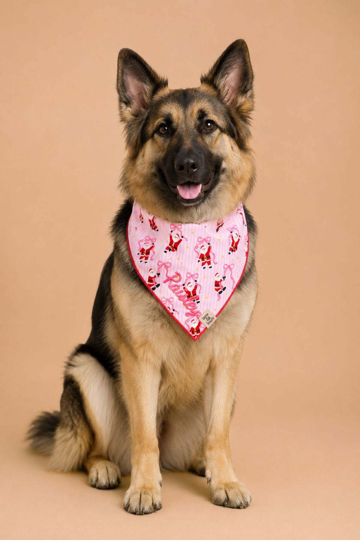 Embroidered Christmas Pet Bandana | Jolly Ribbons