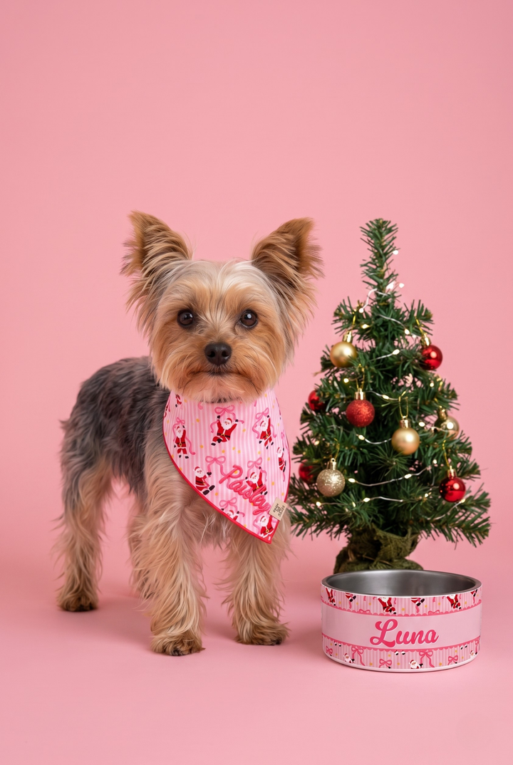 A small Yorkshire stands on a pink studio background wearing a pink Lane & Leash patterned bandana. Pink Lane & Leash  pet bowl with the name 'Luna' printed on it.