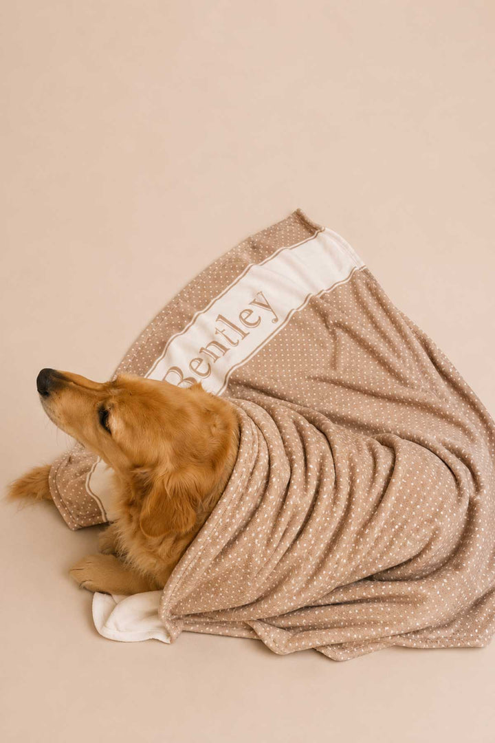Golden retriever dog curled up and wrapped in a latte brown polka dot personalized pet blanket with the name 'Bentley' on the white satin border