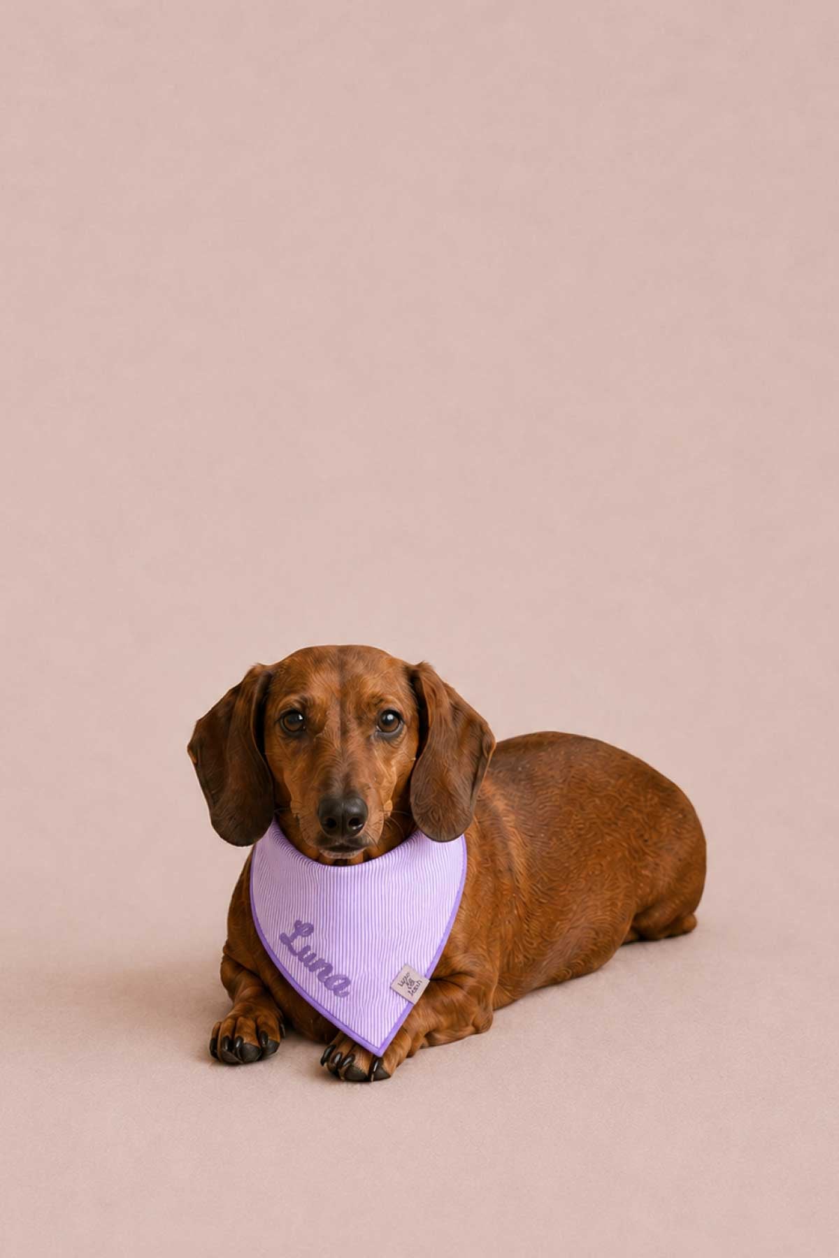 Embroidered Pet Bandana | Lavender Stroll
