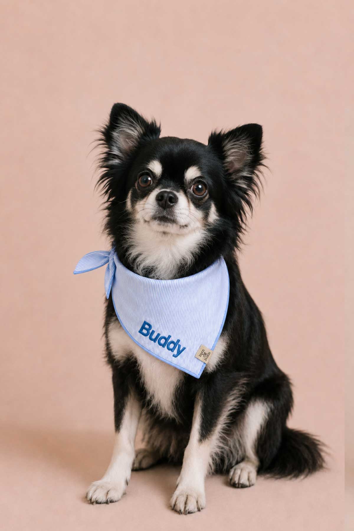 Embroidered Pet Bandana | Morning Mist