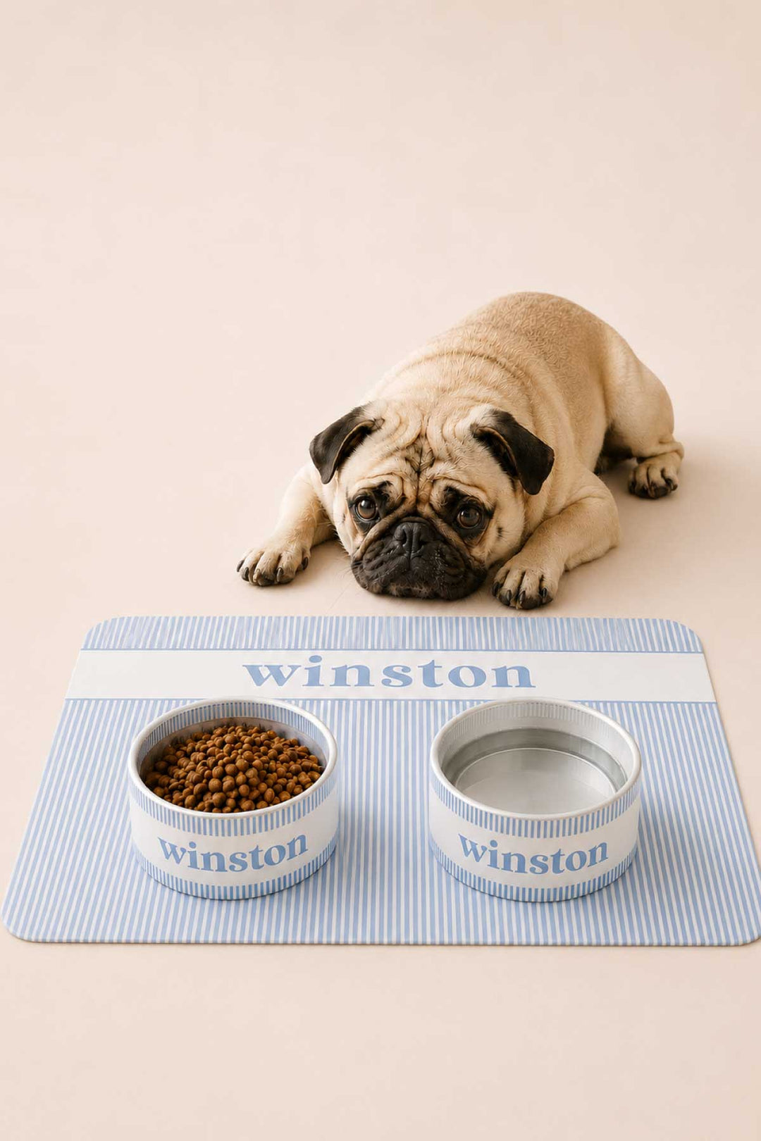 morning mist pet bowls and placemat