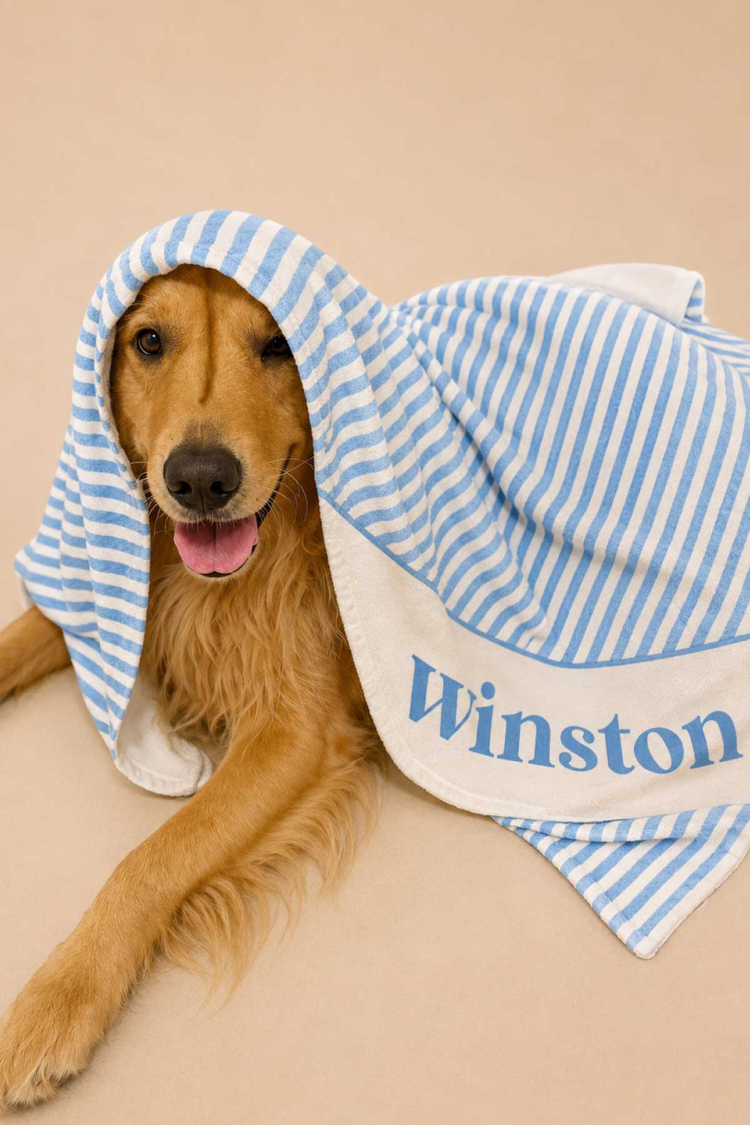 Golden retriever wearing the Morning Mist striped pet blanket draped over its head like a hood, with "Winston" embroidered on the white panel in front