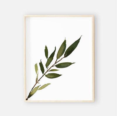 olive leaf wall art for nursery 