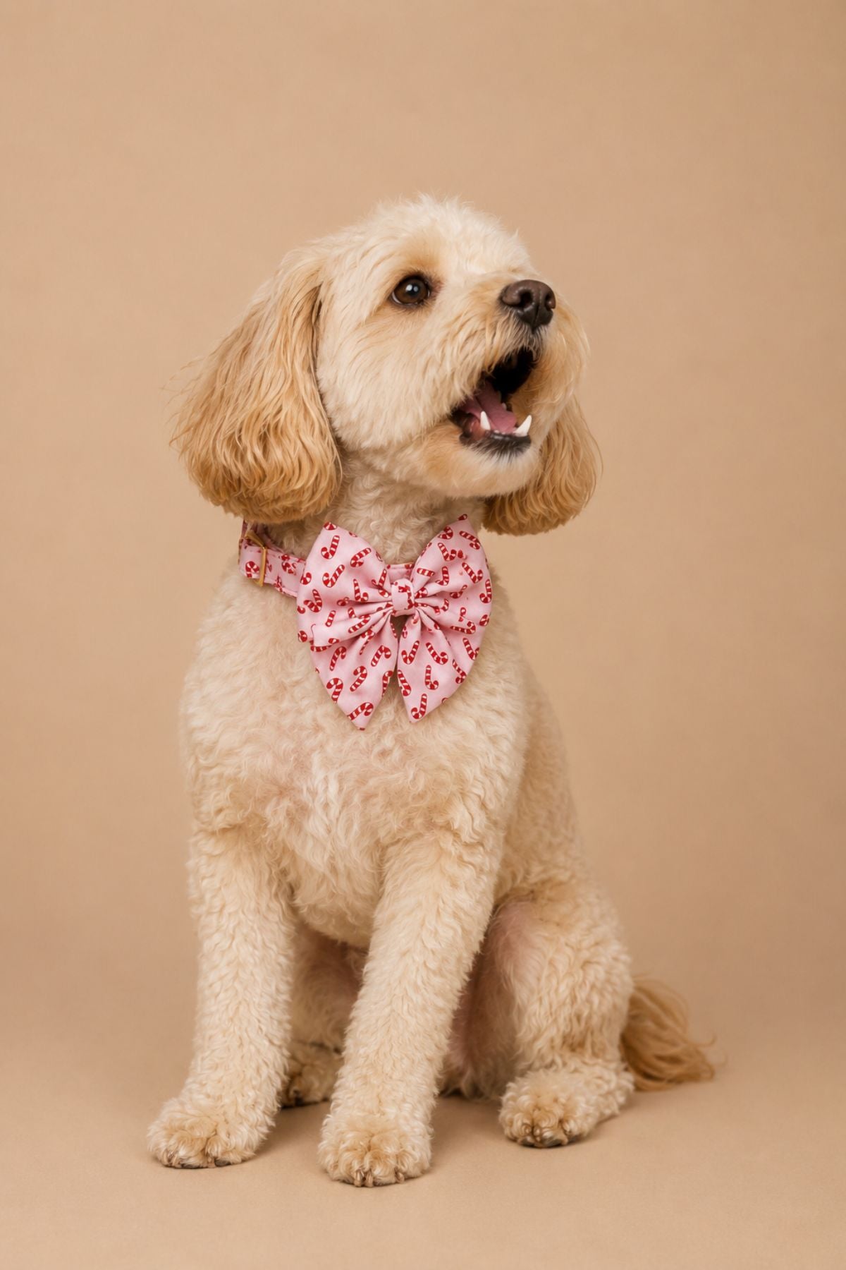 Christmas Pet Bow | Peppermint Stroll Pink