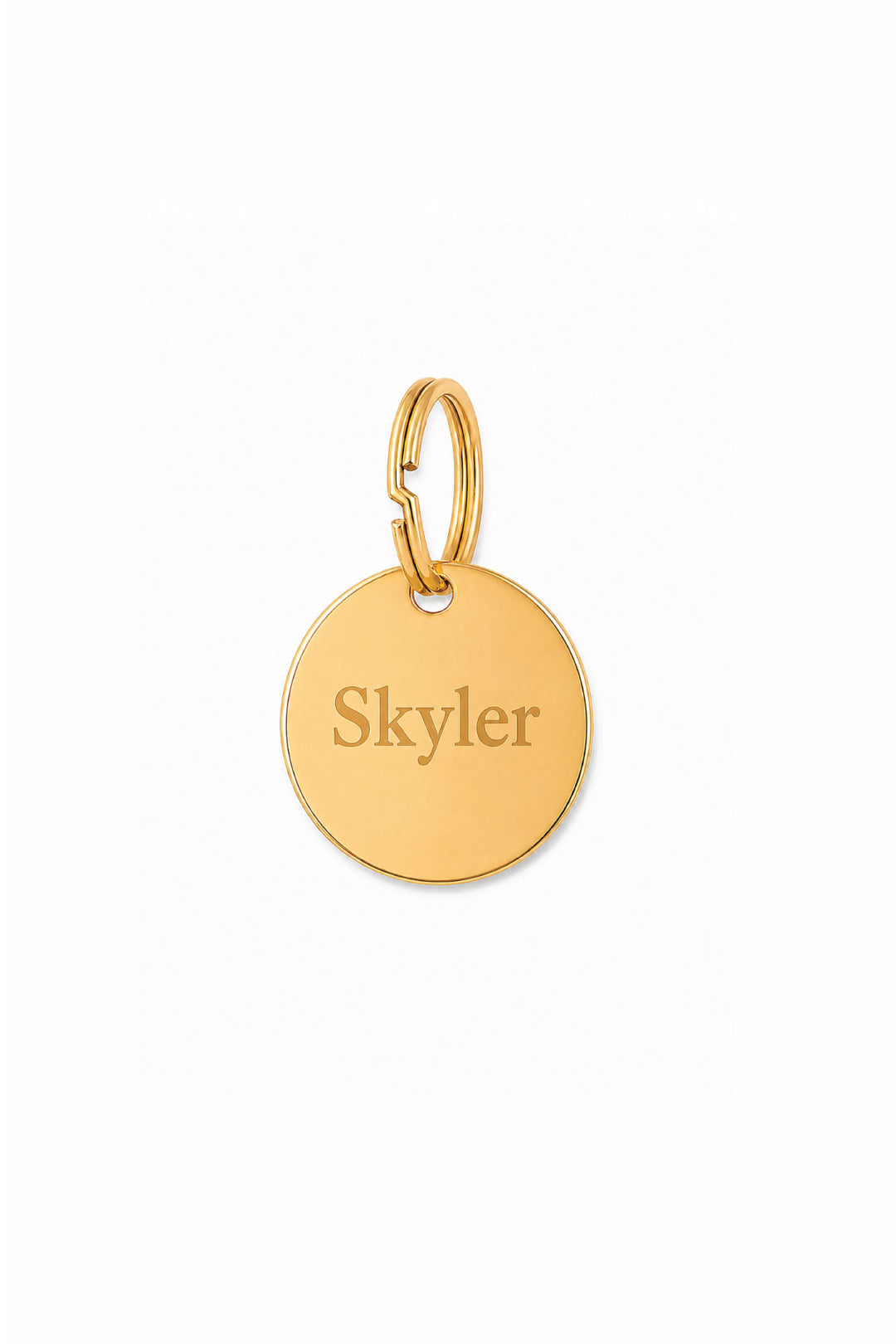 Gold round engraved pet ID tag with sample name "Skyler" and gold O-ring, on white background
