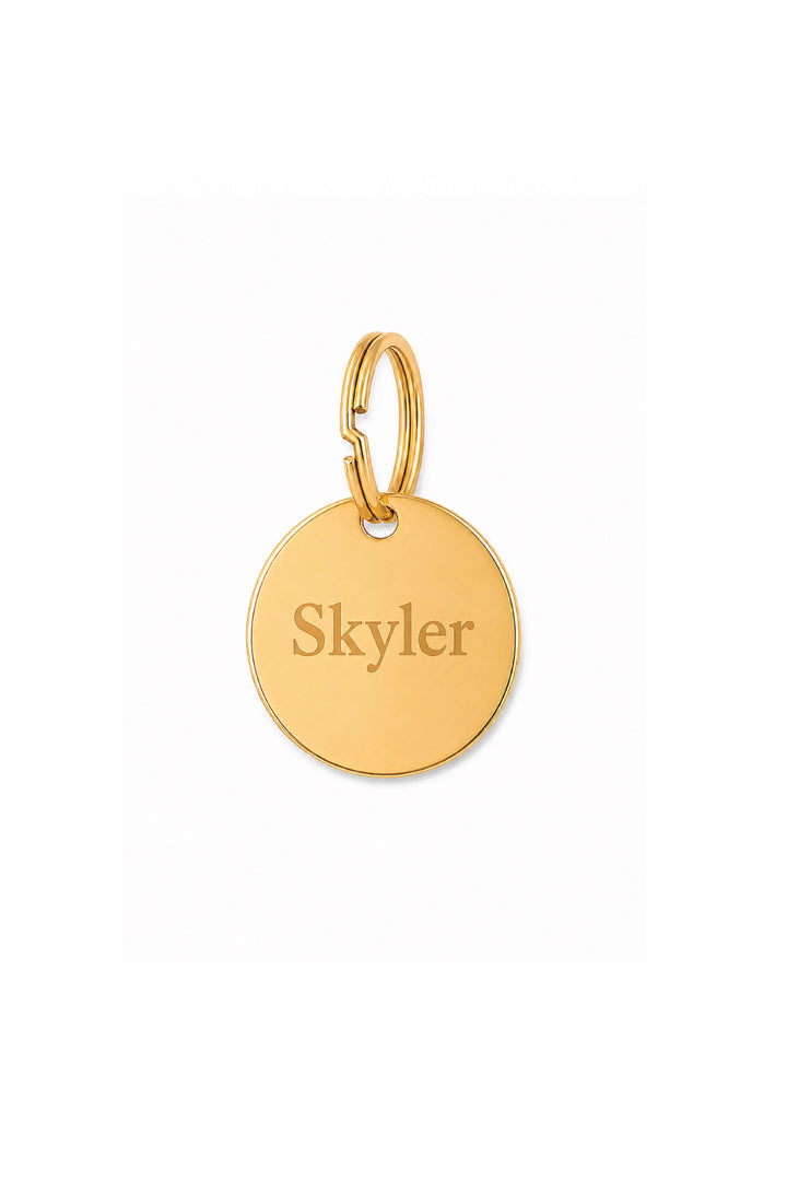 Gold round engraved pet ID tag with sample name "Skyler" and gold O-ring, on white background