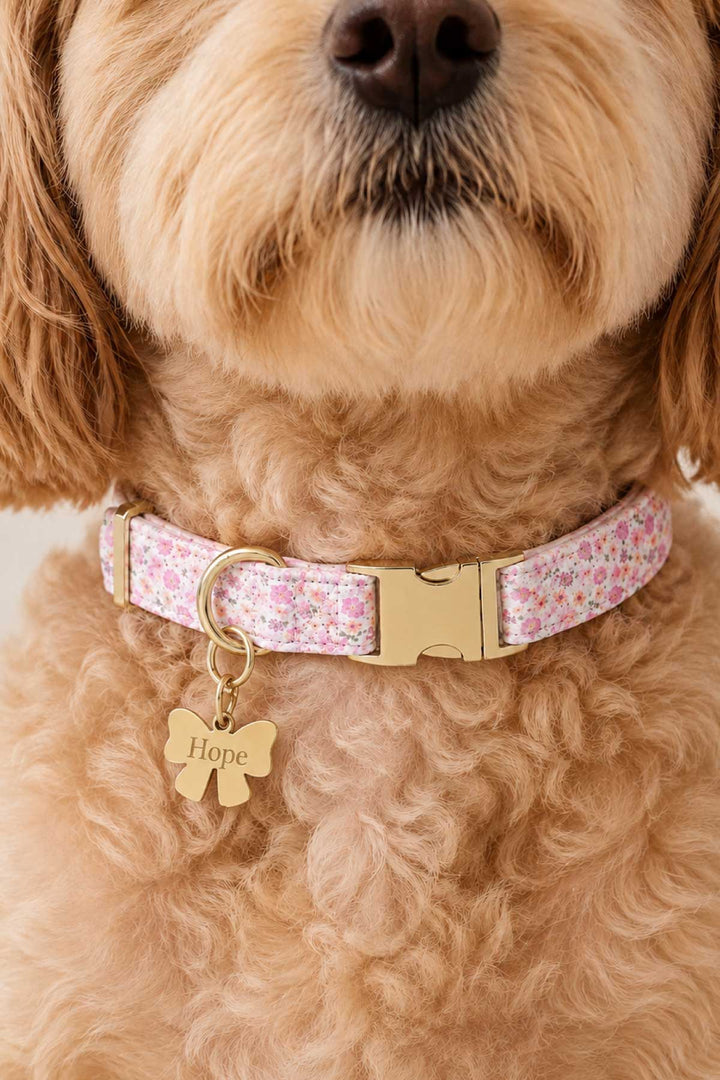 Golden doodle dog wearing a pink floral pet collar with a gold bow-shaped engraved ID tag showing "Hope"