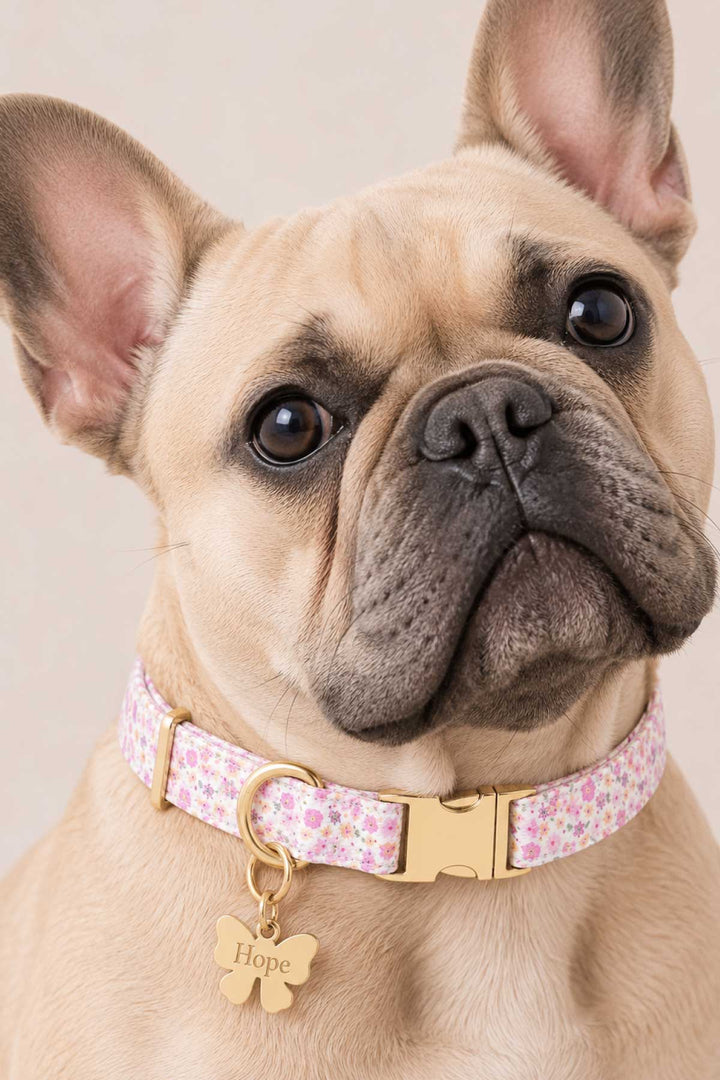 French bulldog wearing a pink floral pet collar with a gold bow-shaped engraved ID tag attached