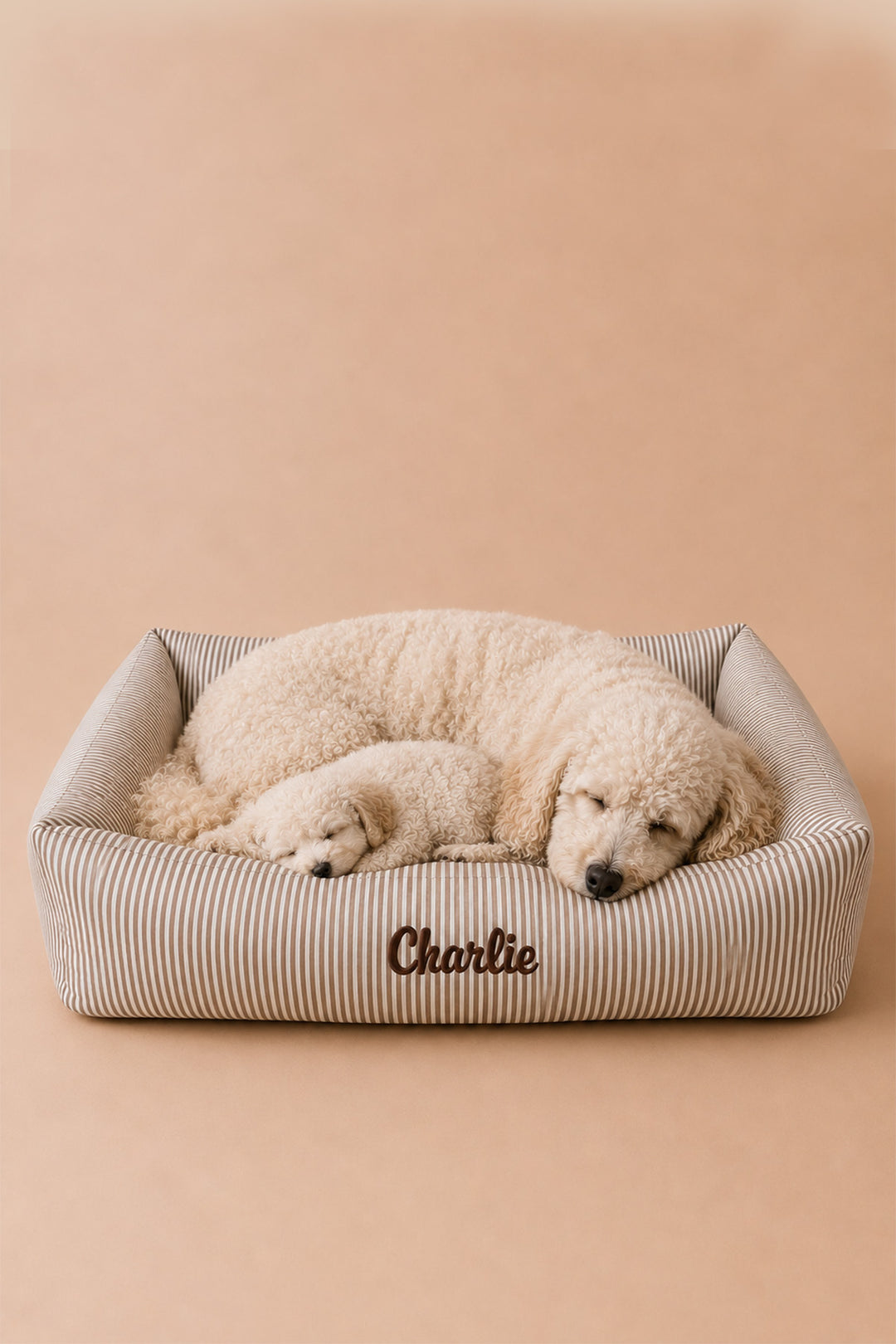 A cream-colored poodle puppy and a smaller dog sleeping together in a Lane & Leash beige and white striped dog bed with the name 'Charlie' embroidered on the front, set against a solid beige background.
