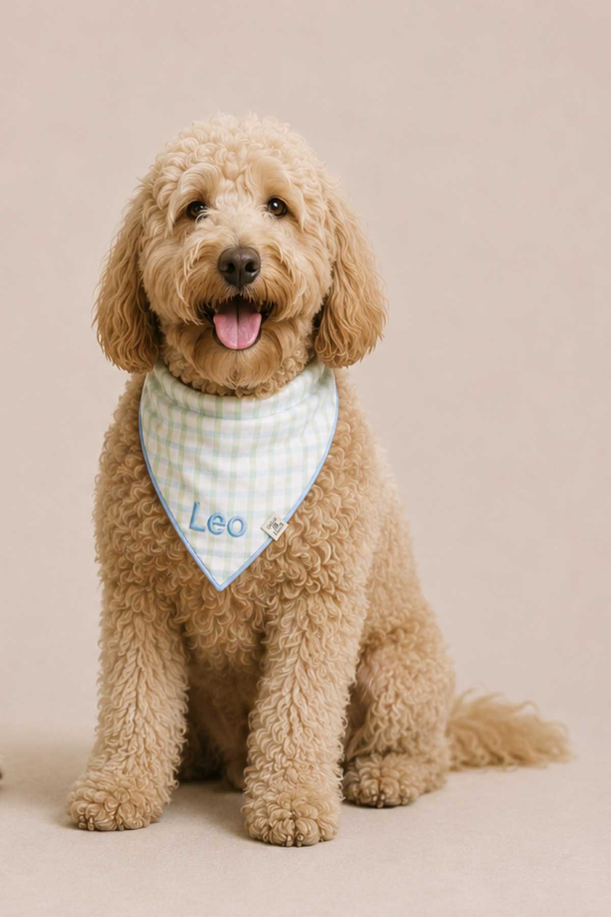 Embroidered Pet Bandana | Picnic Plaid