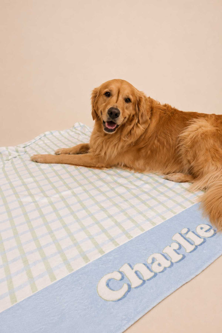 Golden retriever lying on a personalized picnic plaid pet blanket with the name "Charlie" on the blue border, against a warm beige background