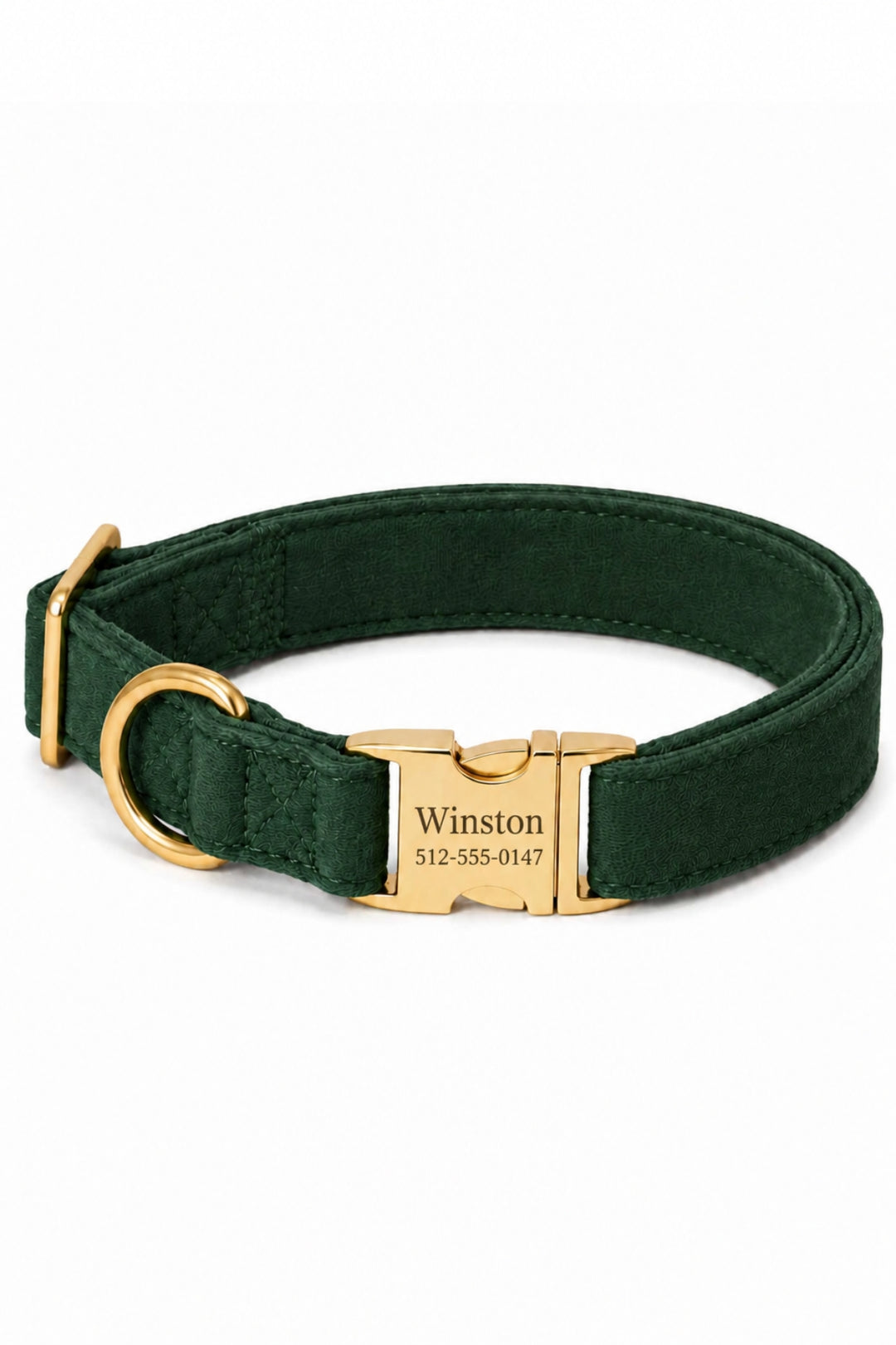 Lane & Leash Pine dog collar in solid dark green velvet, featuring a gold engraved buckle personalized with the name 'Winston' and phone number.