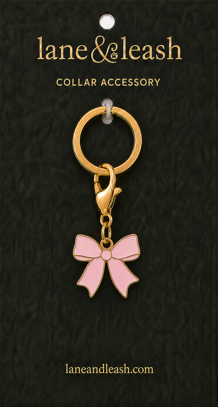 Pink bow Lane & Leash collar accessory charm displayed on dark green packaging card with lobster claw clasp and jump ring