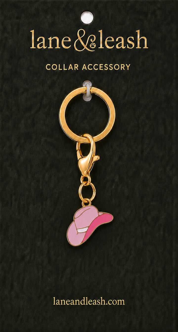 Pink cowgirl hat Lane & Leash collar accessory charm displayed on dark green packaging card with lobster claw clasp and jump ring