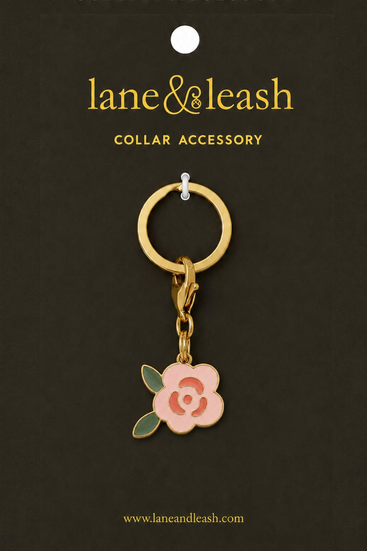A Lane & Leash gold-tone collar accessory with a pink flower charm and green leaves, displayed on a dark brown card labeled 'lane&leash COLLAR ACCESSORY'.