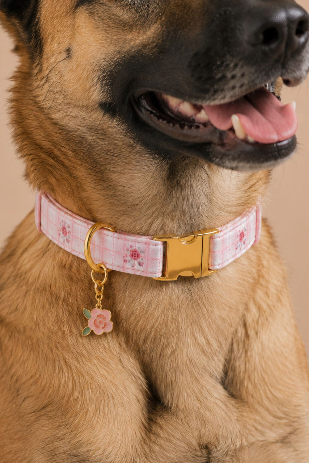 A close-up of a tan dog wearing a Lane & Leash pink plaid collar with a gold buckle and a small pink flower charm.