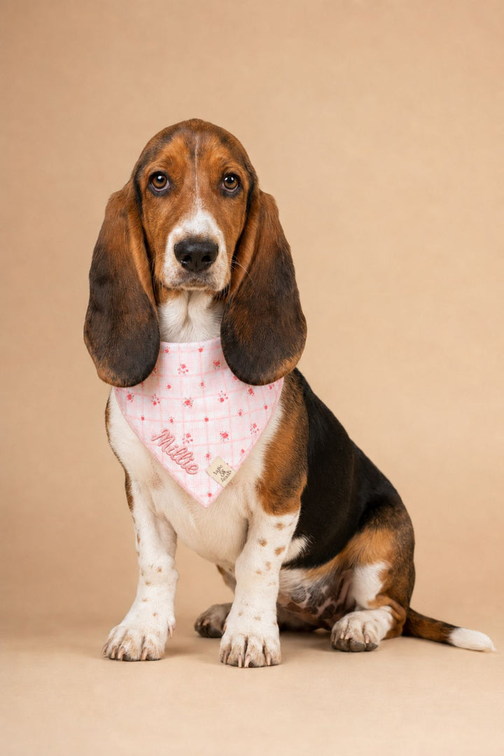 A Basset Hound dog wearing a Lane & Leash pink bandana with a white star pattern and the name 'Minnie' printed on it, sitting against a solid beige studio background.
