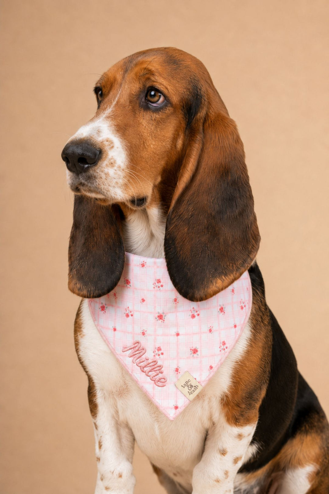 A Basset Hound dog wearing a Lane & Leash pink bandana with a white grid pattern and small red paw prints, featuring the name 'Mittie' in script. The dog is photographed against a solid beige studio background.
