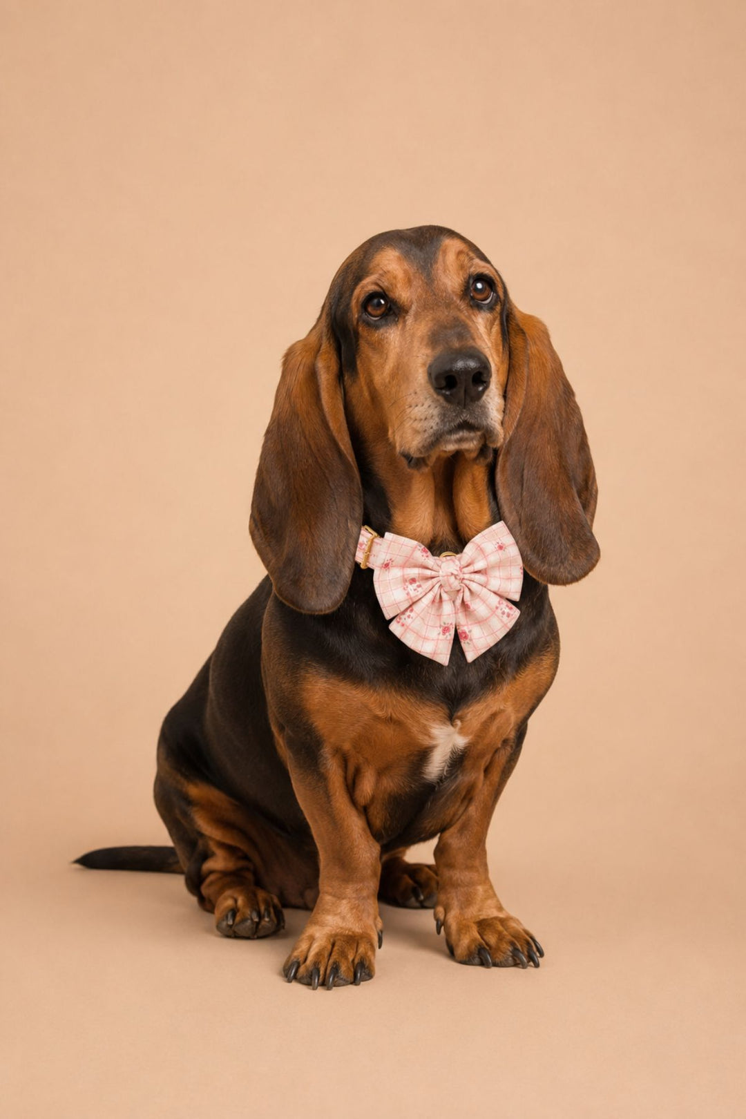 Pet Bow | Primrose Plaid