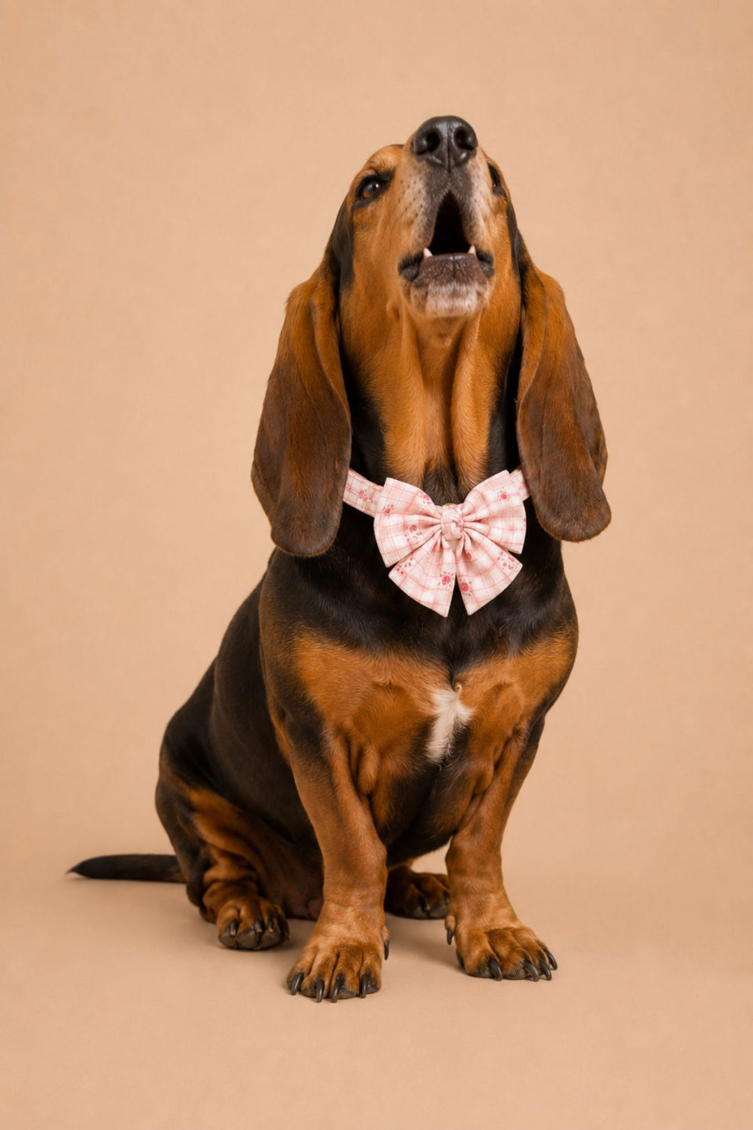 Pet Bow | Primrose Plaid