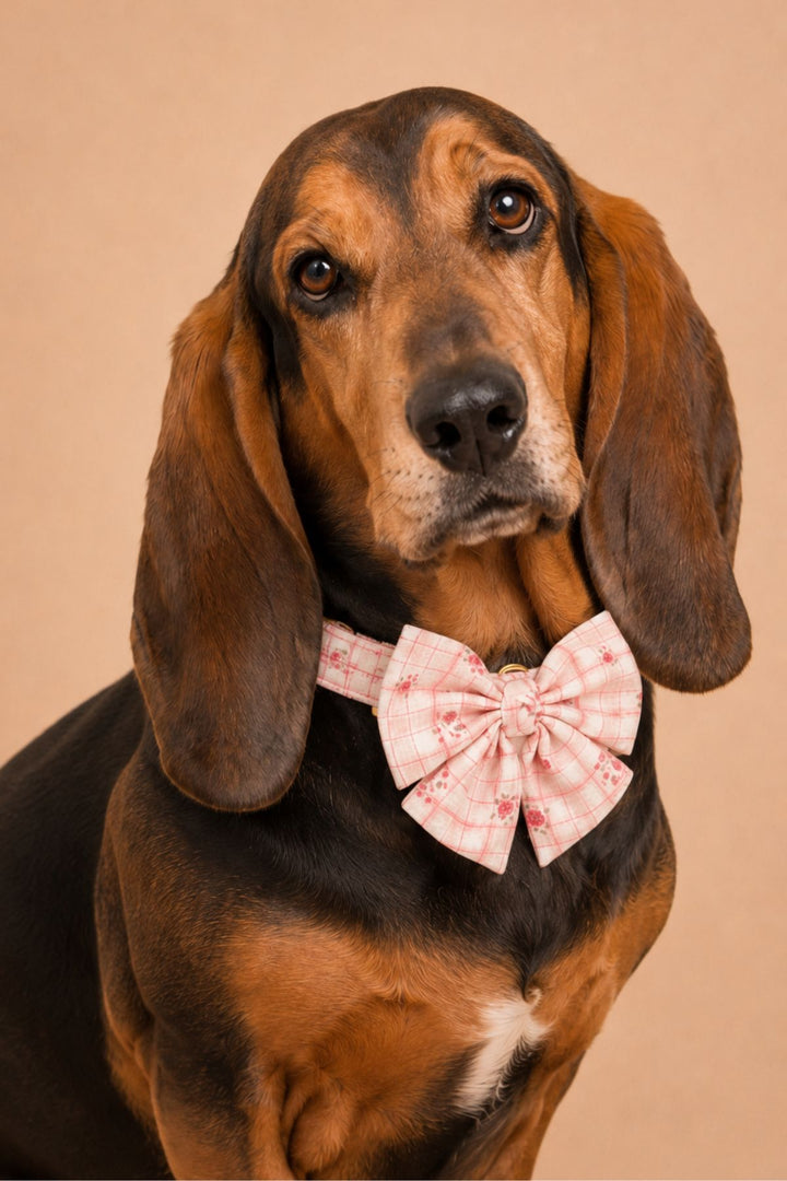 Pet Bow | Primrose Plaid