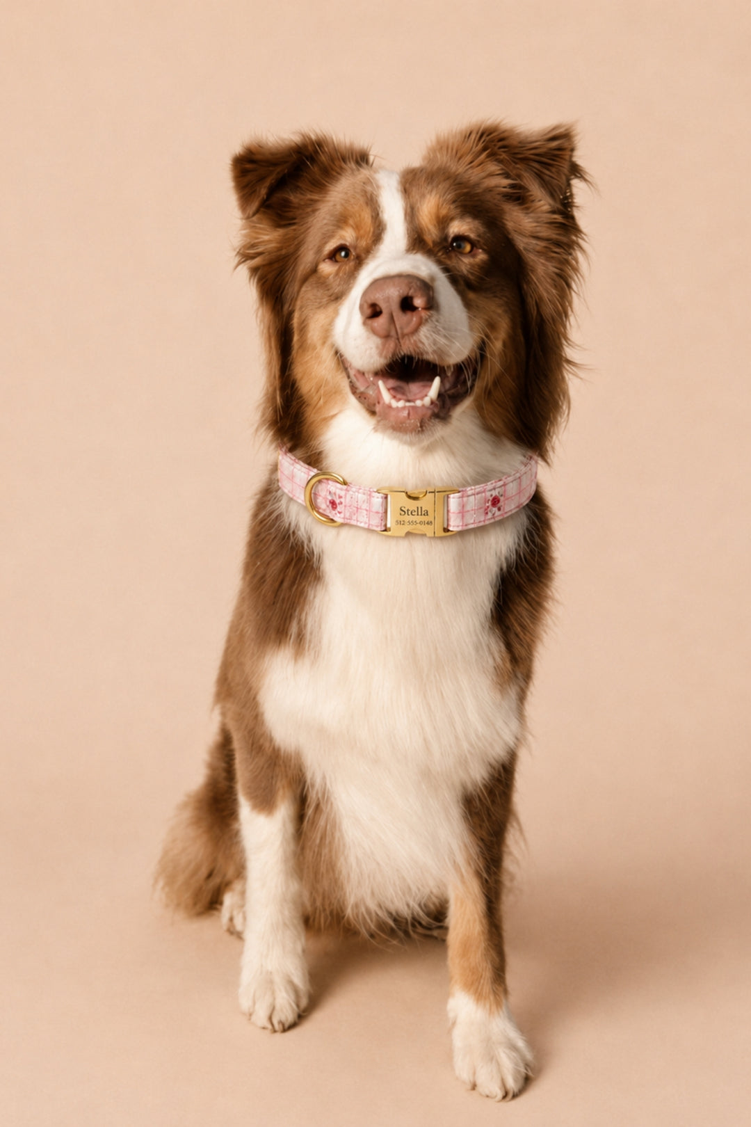 A brown and white Australian Shepherd dog wearing a Lane & Leash pink patterned collar with a gold buckle, sitting against a solid beige background.