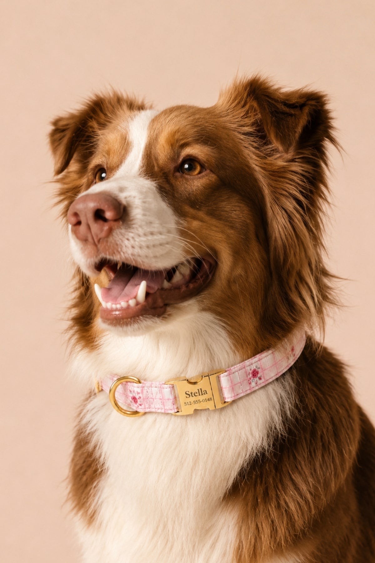 Dog Collar |  Primrose Plaid