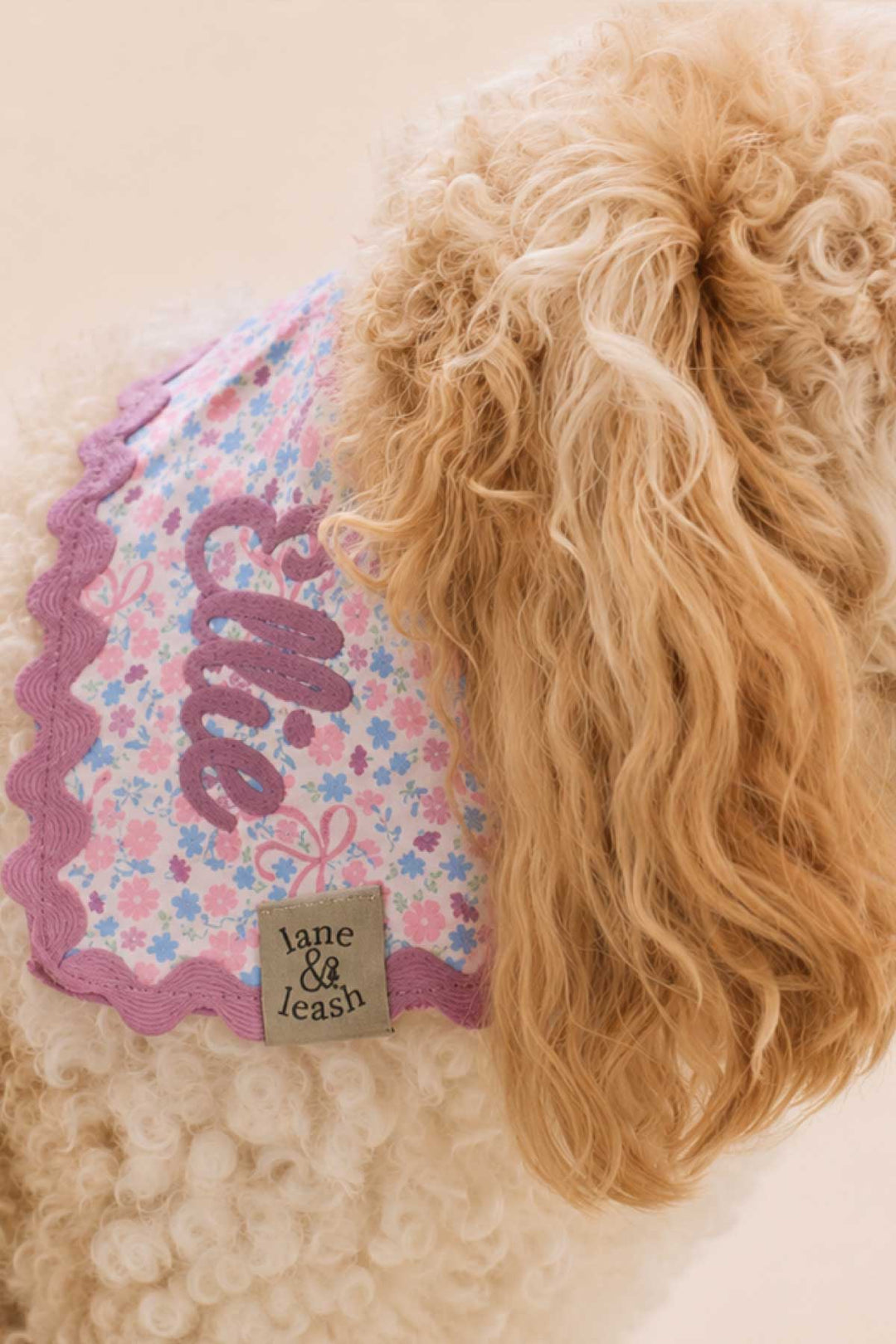 Close-up of a fluffy golden doodle wearing an embroidered Ribbon Garden print pet bandana with purple scalloped edge and a personalized embroidered name, showing the Lane & Leash tag