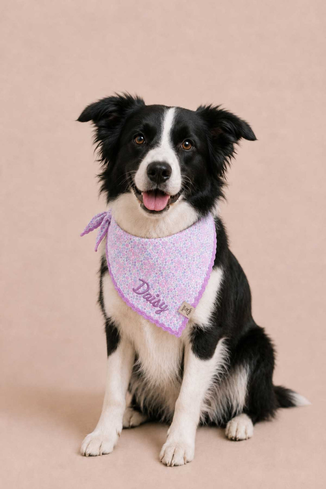 ribbon garden embroidered bandana on border collie