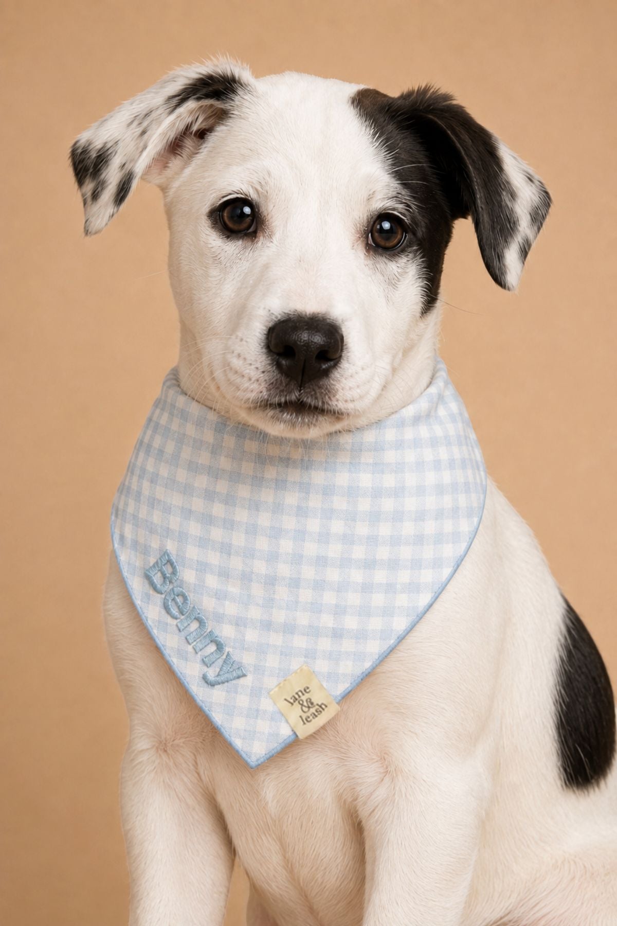 Pet Embroidered Bandana |  Seaside Gingham