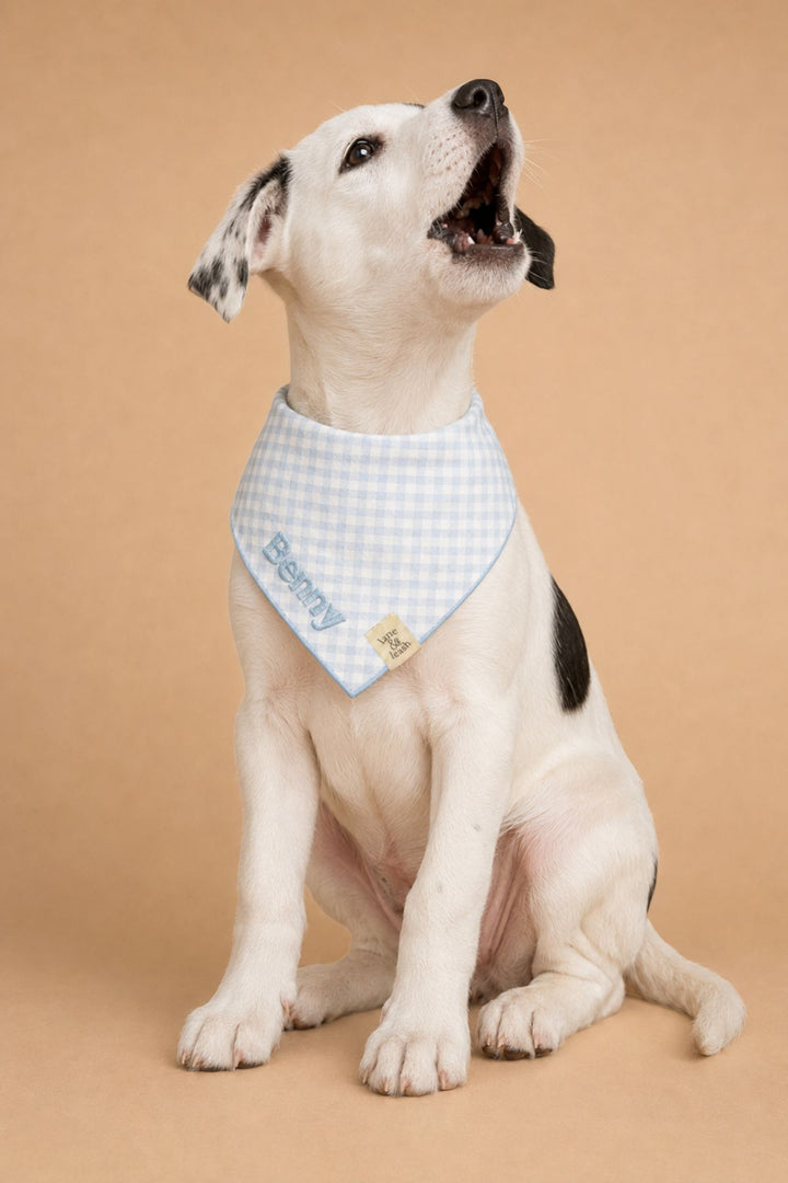 A white and black spotted dog wearing a Lane & Leash light blue and white gingham bandana with the name 'Benny' embroidered on it, sitting against a solid tan background.
