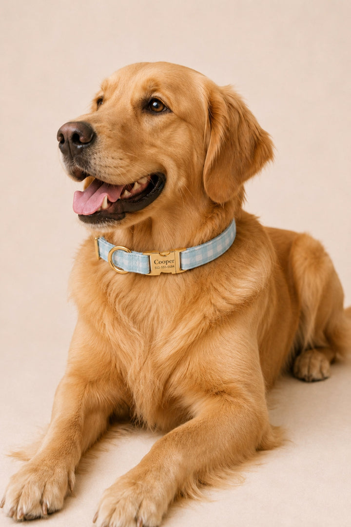 A golden retriever dog lying down and wearing a Lane & Leash light blue and white gingham collar with a gold-tone metal buckle and a custom name plate that reads 'COCO'. The background is a clean, solid, warm beige studio backdrop.