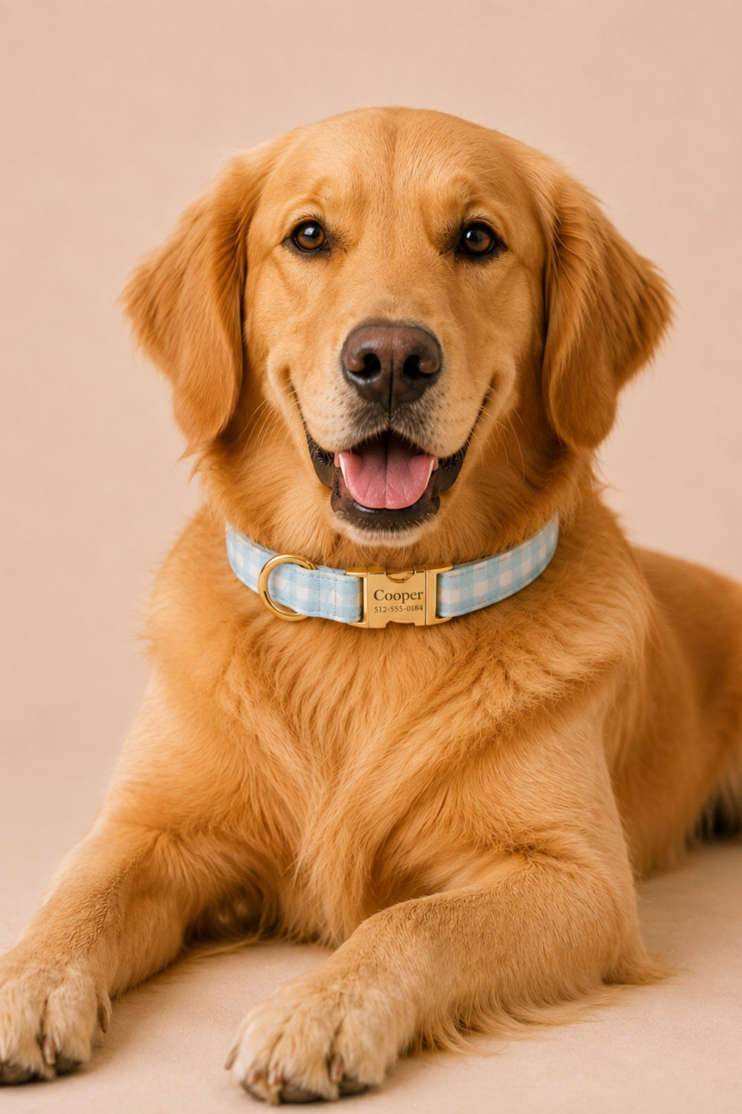 A golden retriever dog lying down and wearing a Lane & Leash light blue and white gingham check collar with a gold-tone metal buckle engraved with the name 'Cooper'. The background is a solid, warm beige studio backdrop.