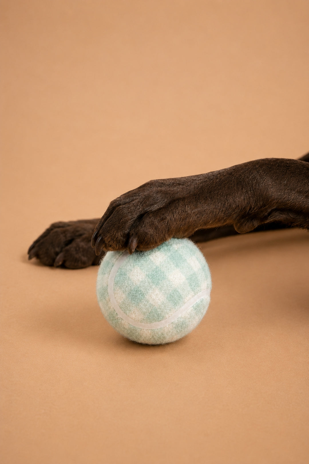 A small Lane & Leash round ball with a pale mint green and white gingham pattern sits on a smooth tan surface, with a dark brown dog paw resting on top of it.