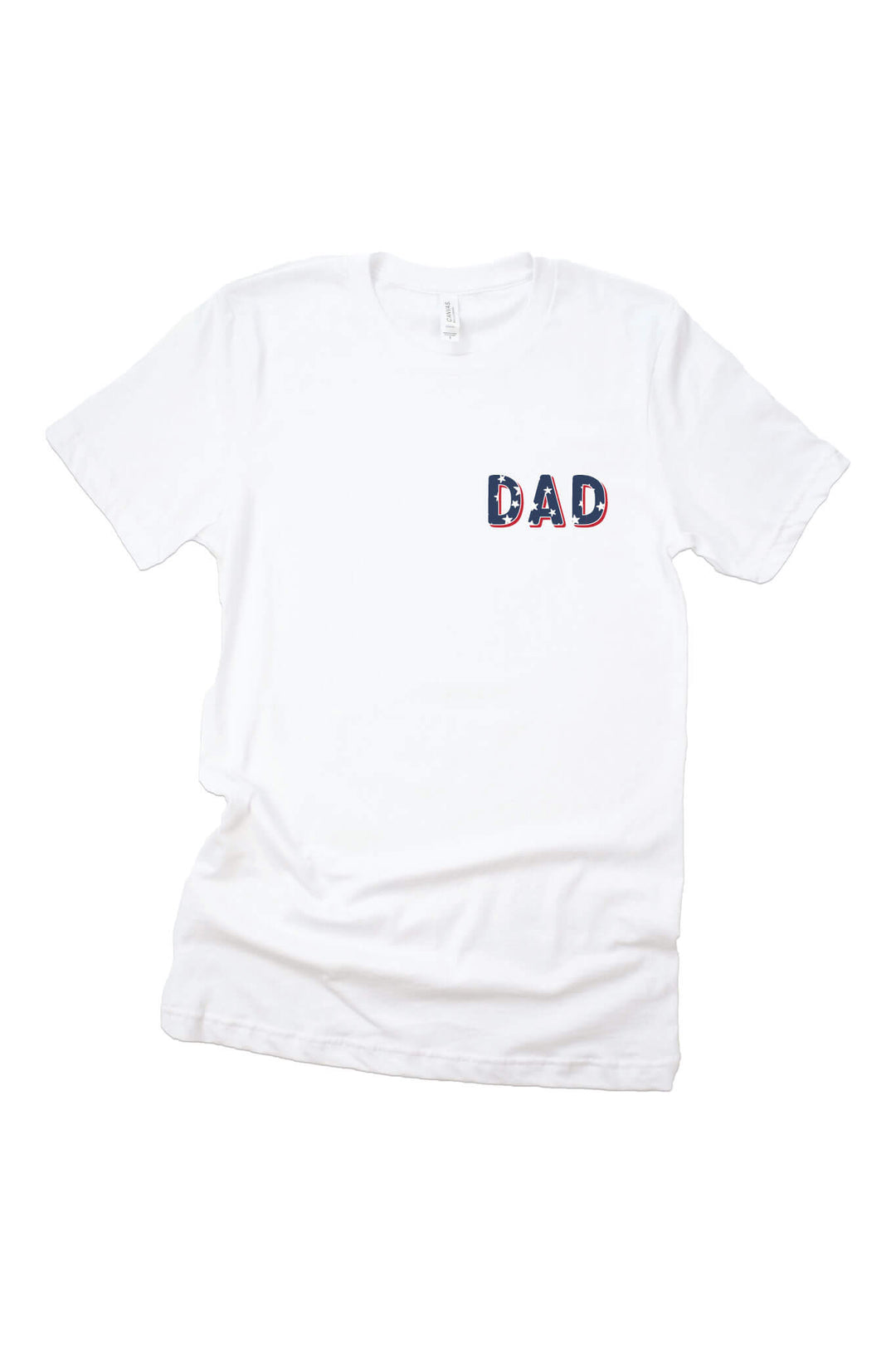 Stars & Stripes Party dad graphic tee | 4th of July family matching outfit | USA patriotic shirt | Caden Lane