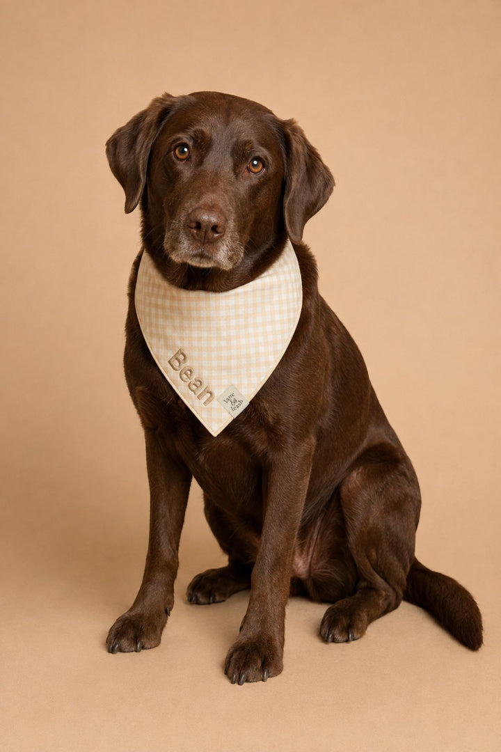 Pet Embroidered Bandana |  Snickerdoodle Gingham