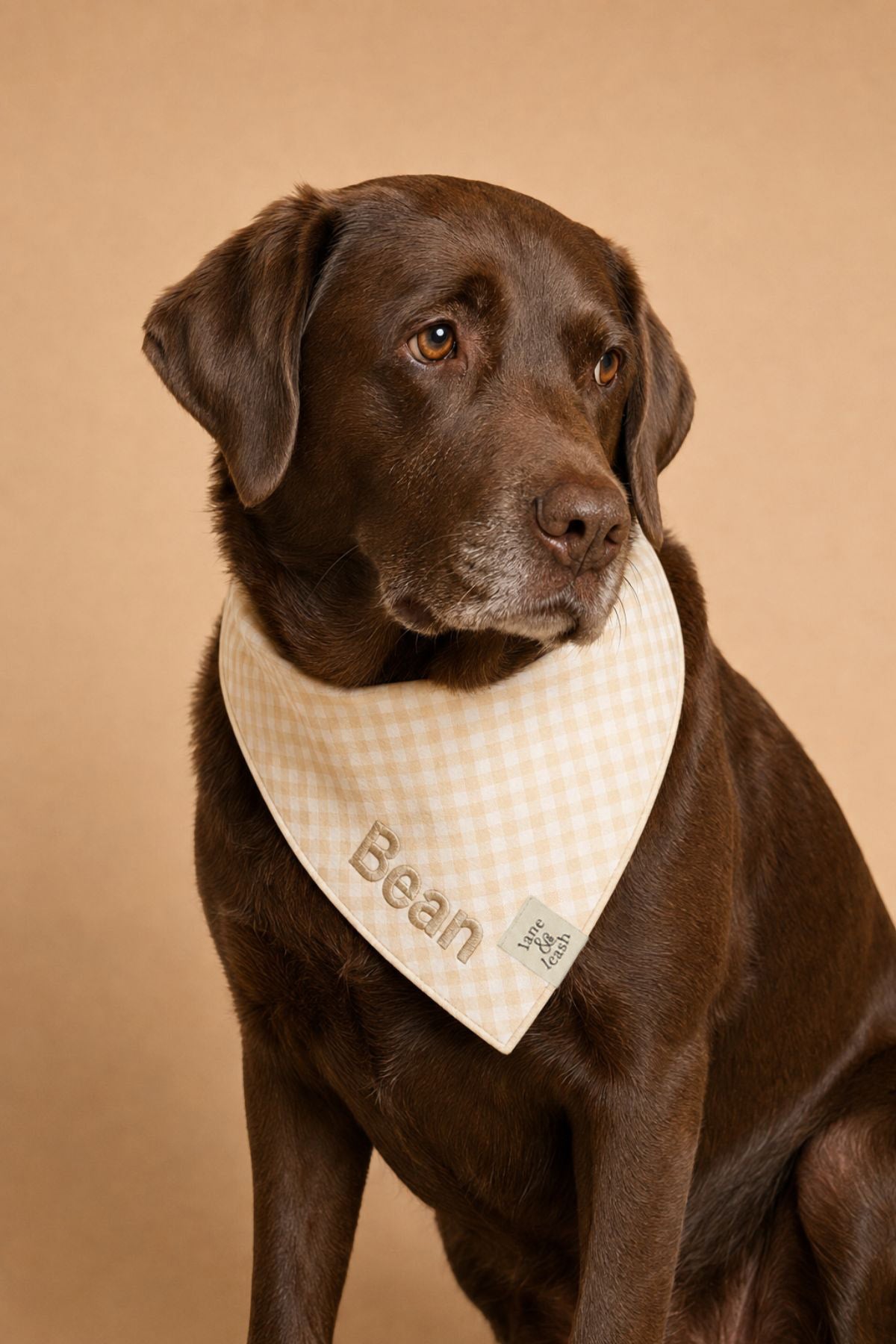 Pet Embroidered Bandana |  Snickerdoodle Gingham