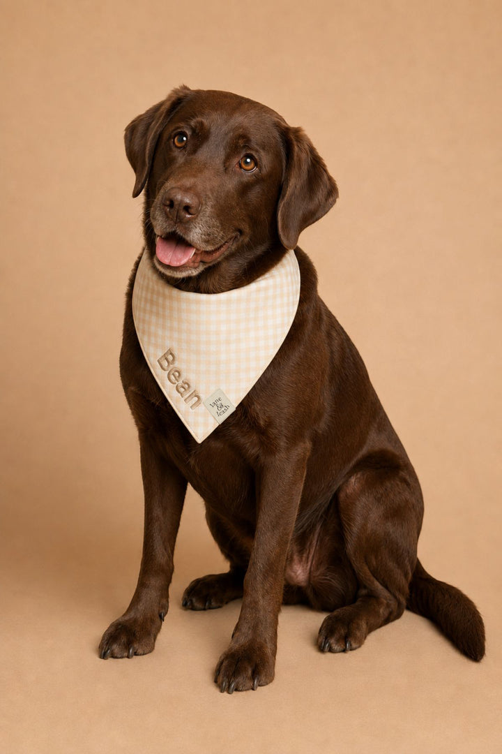 Pet Embroidered Bandana |  Snickerdoodle Gingham