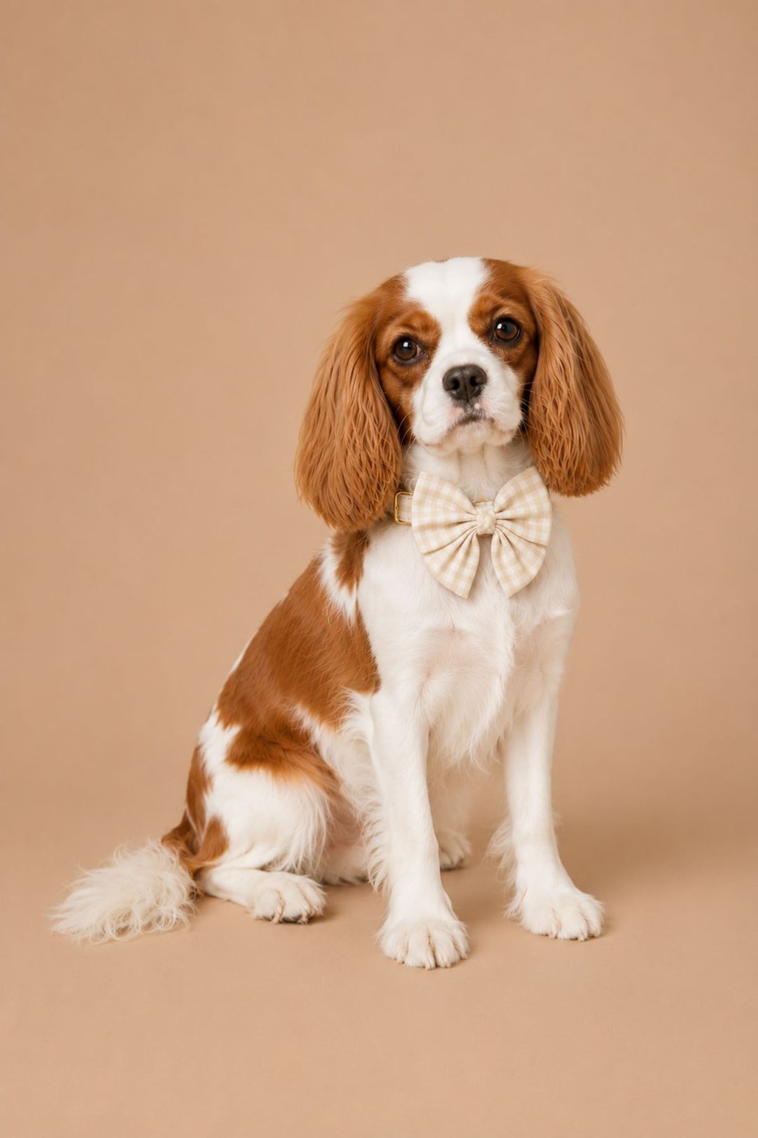 Pet Bow | Snickerdoodle Gingham