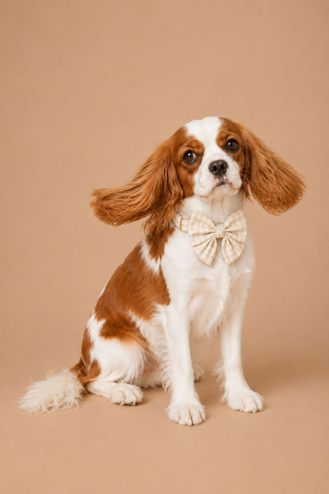 Pet Bow | Snickerdoodle Gingham