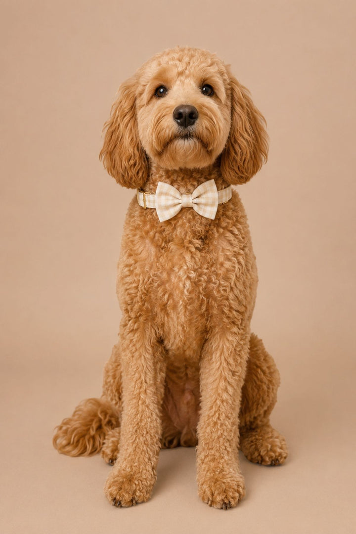 Pet Bow Tie | Snickerdoodle Gingham