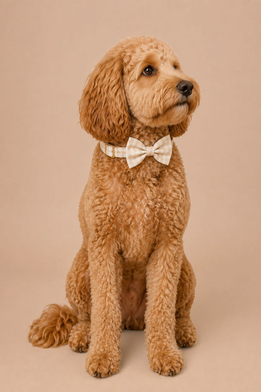 Pet Bow Tie | Snickerdoodle Gingham