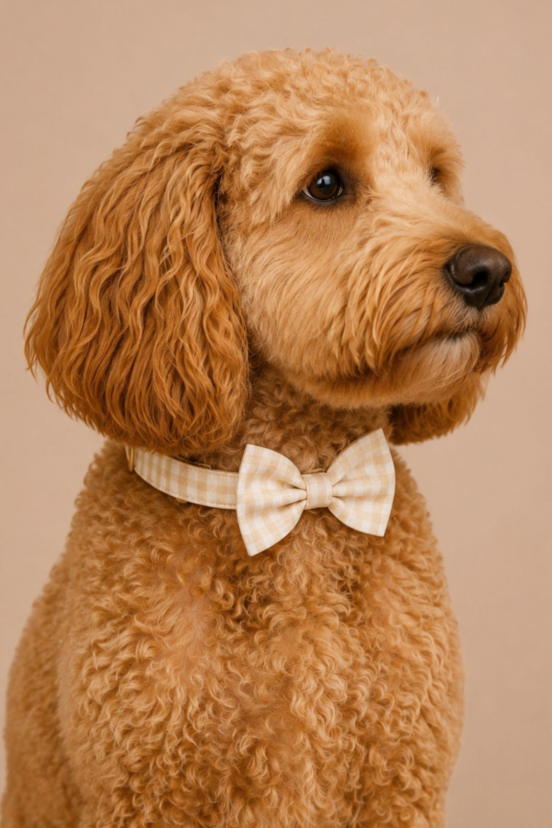 Pet Bow Tie | Snickerdoodle Gingham