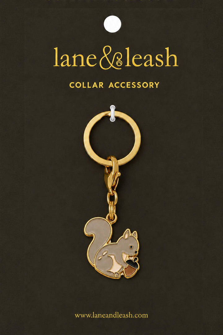 A Lane & Leash gold-tone squirrel collar accessory with a small acorn detail, attached to a gold split ring and displayed on a dark brown backing card labeled 'lane&leash'.