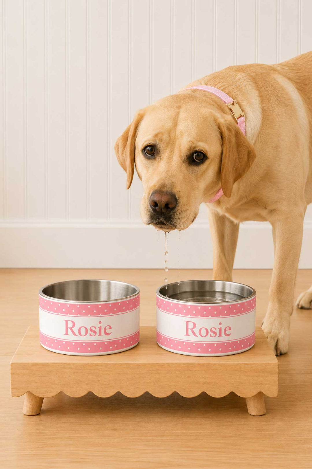 Yellow Labrador dog drinking from two personalized Sweet Pea Spots pink polka dot stainless steel bowls reading Rosie, displayed on a wooden raised feeding stand