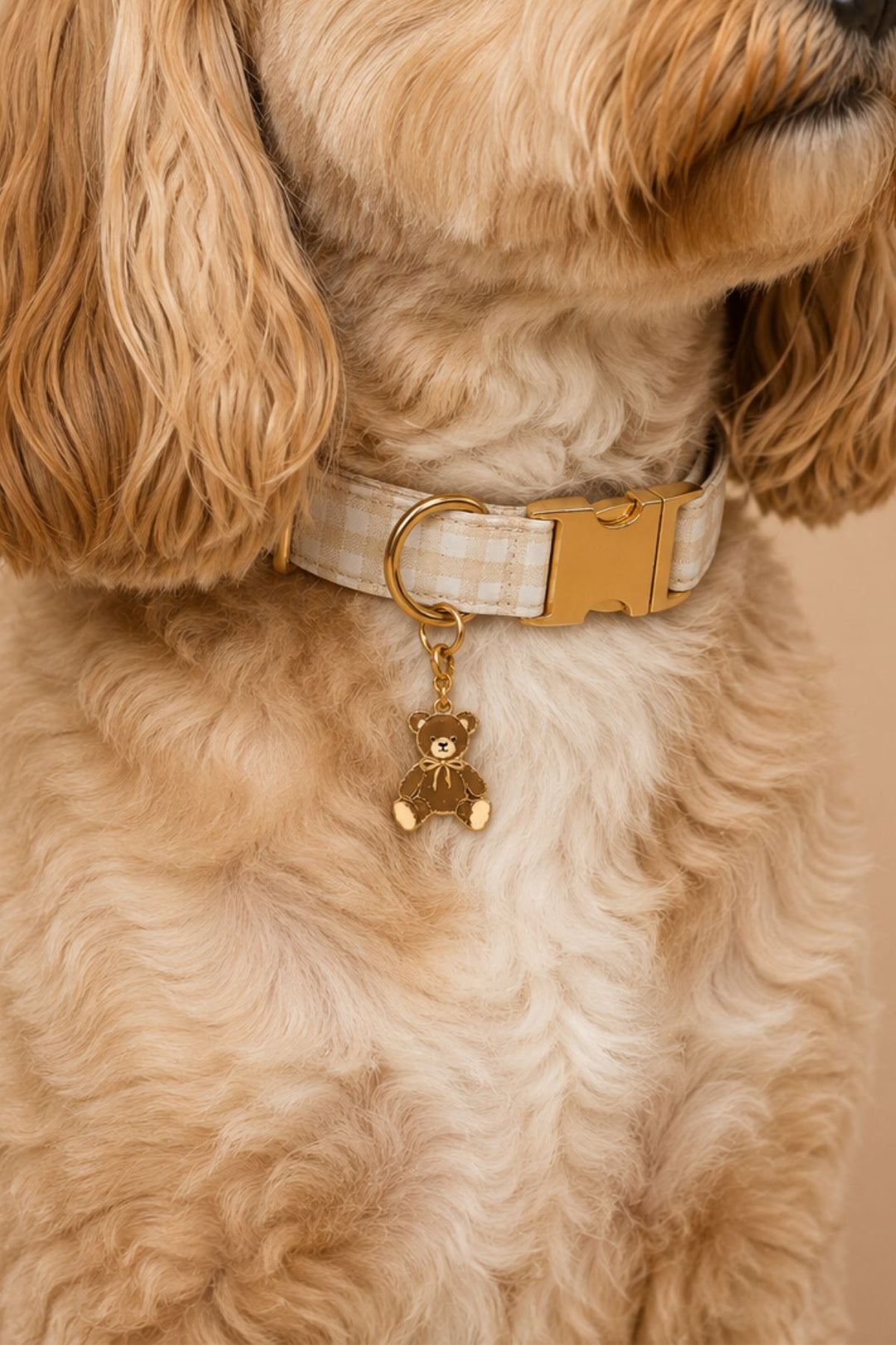 A close-up of a fluffy cream-colored dog wearing a Lane & Leash beige and white gingham check dog collar with a gold buckle and a small gold teddy bear charm.