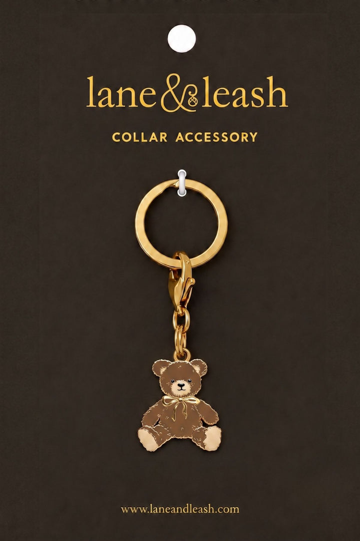 A Lane & Leash collar accessory with a small teddy bear charm, displayed on a dark brown backing card with the brand name 'lane&leash' printed at the top.